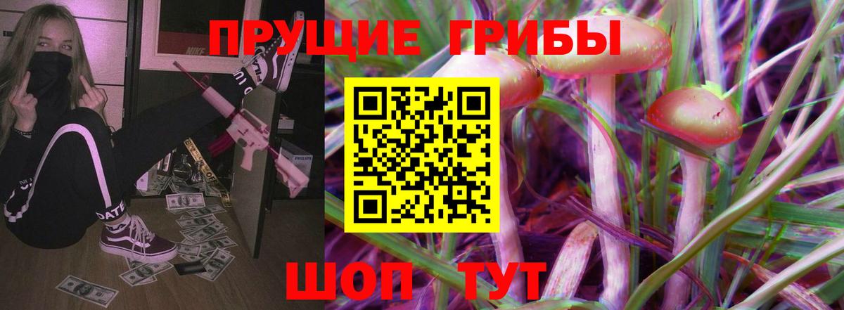 Псилоцибиновые грибы Cubensis Отрадное